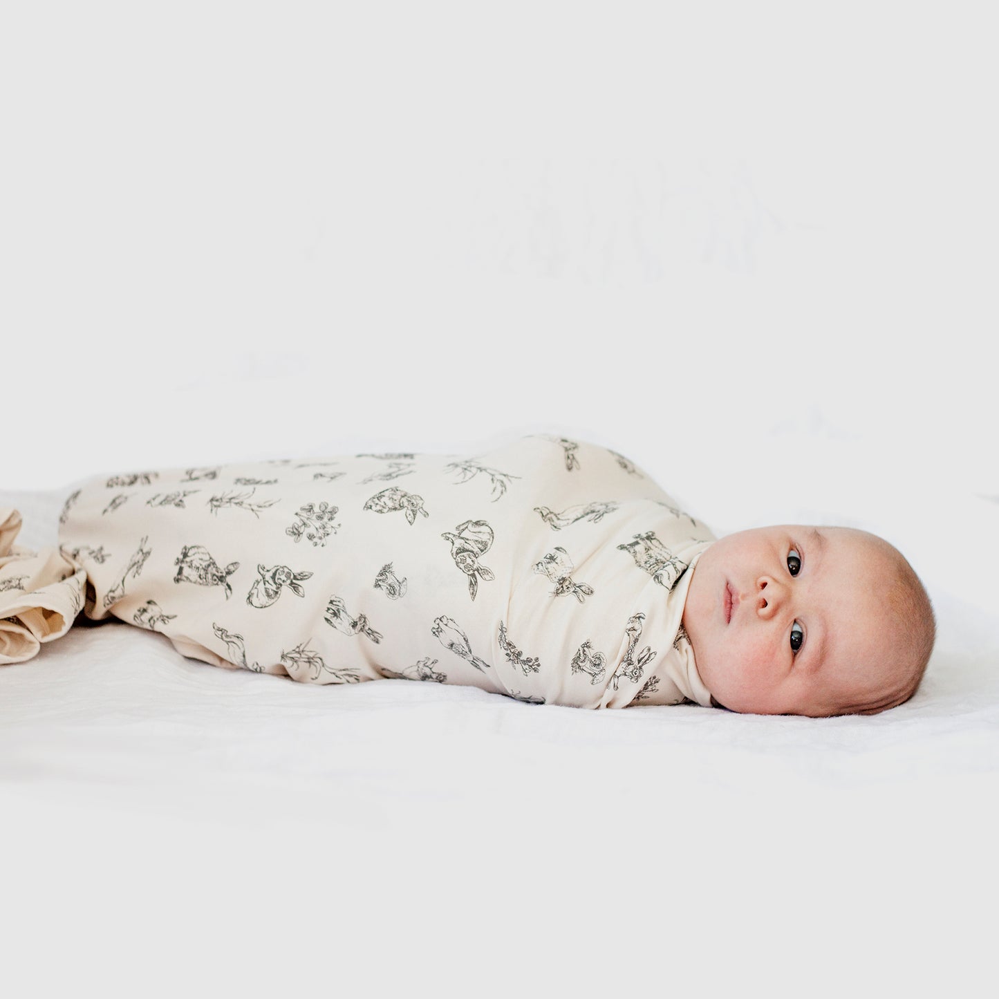 Almond Burrowers Stretchy Swaddle