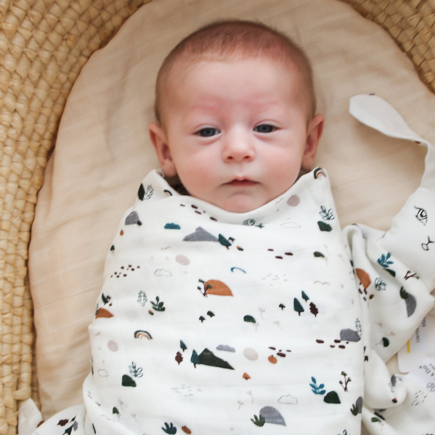 Baby in moses basket wrapped in Burrow and Be Garden Treasures Muslin Wrap