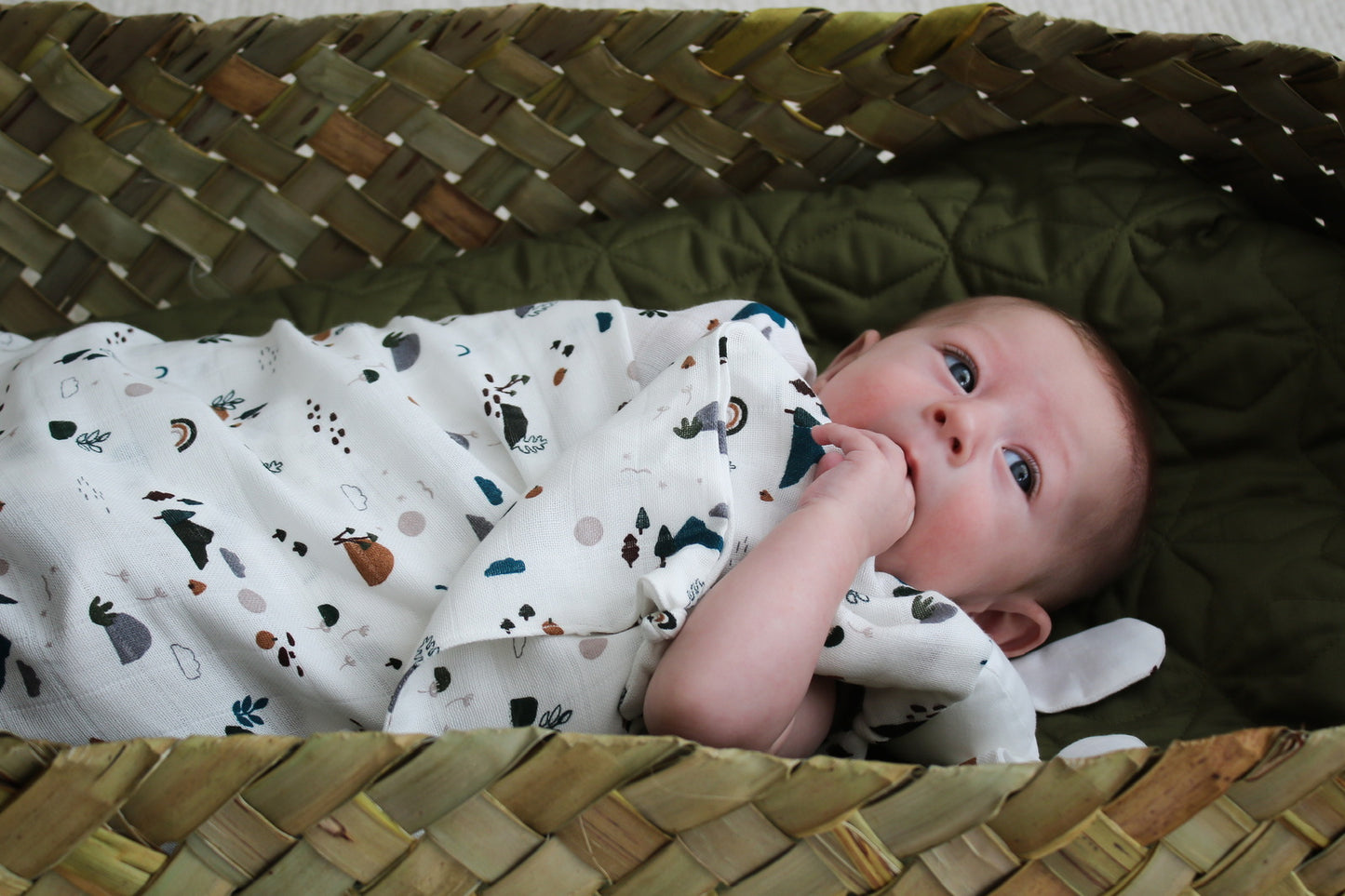 Baby in green basket wrapped in Burrow and Be Garden Treasures Muslin Wrap