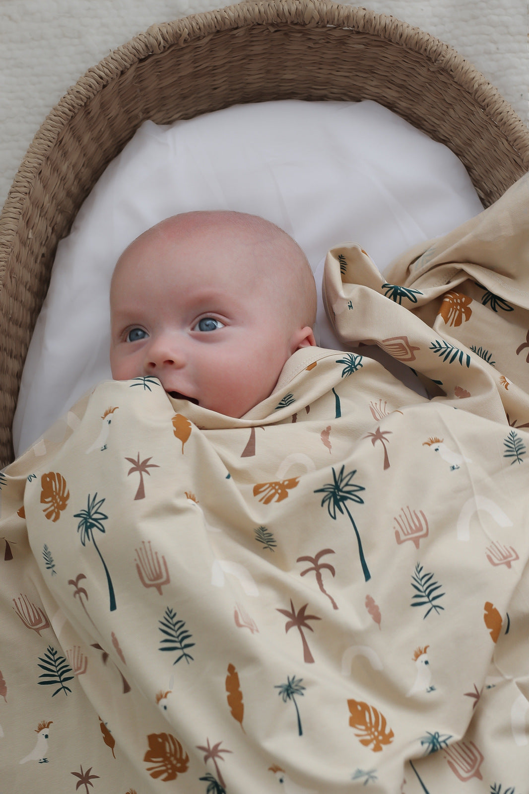 Baby laying in Moses Basket with white sheets, wrapped in Jungle Stamp Stretchy Swaddle, designed by Burrow and Be