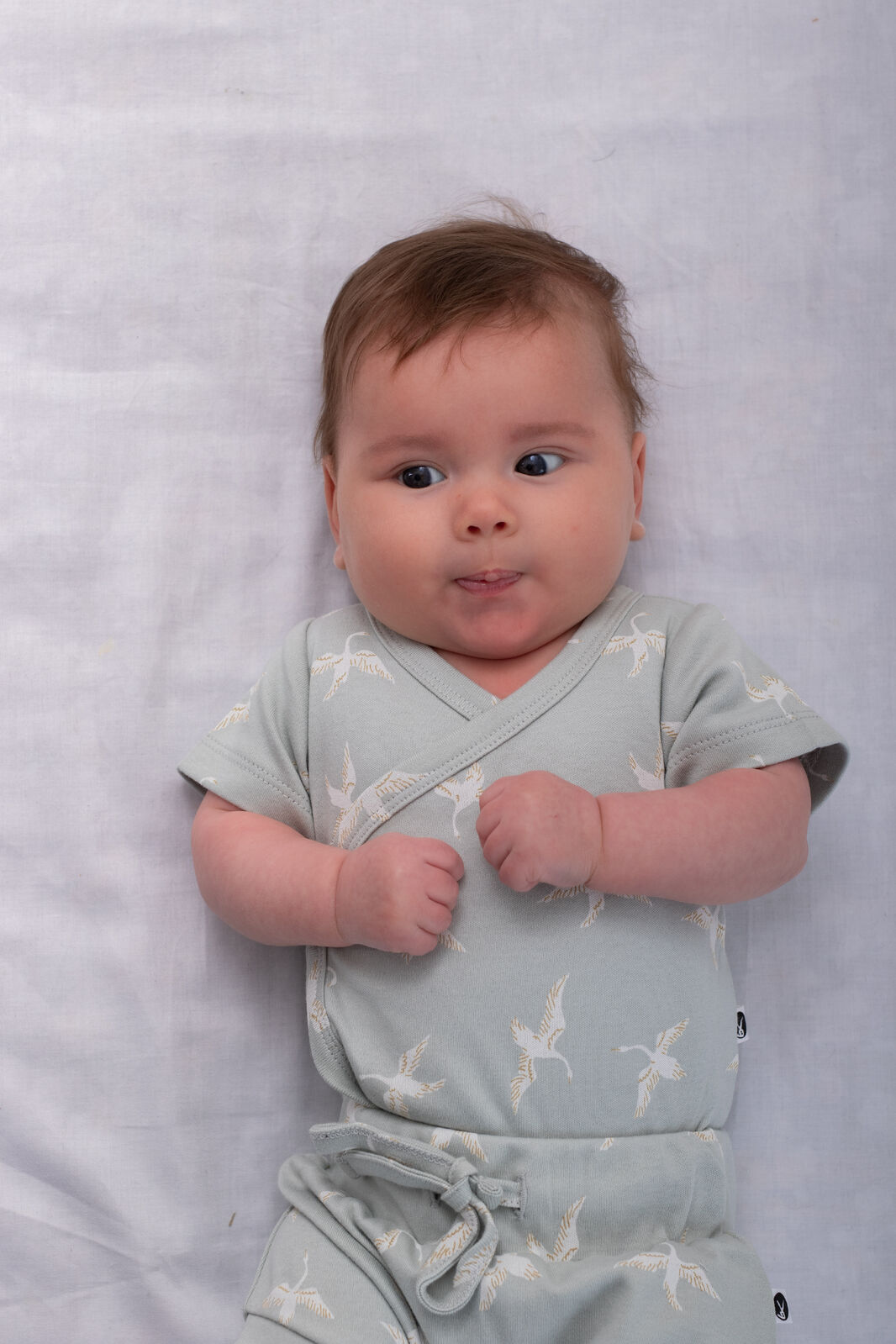 Baby wearing Swan Flight Short Sleeve Kimono Bodysuit by Burrow and Be