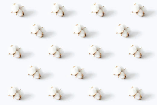 The Green Fabric Showdown: Organic Cotton vs Bamboo
