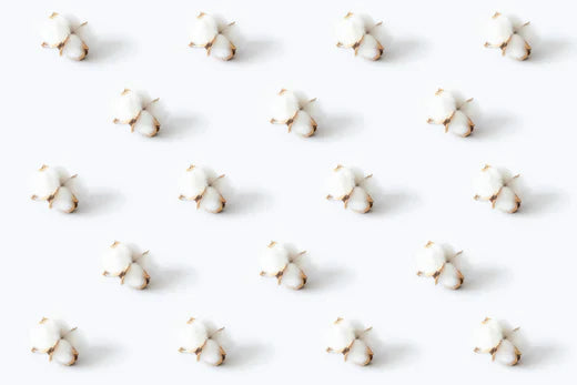 The Green Fabric Showdown: Organic Cotton vs Bamboo