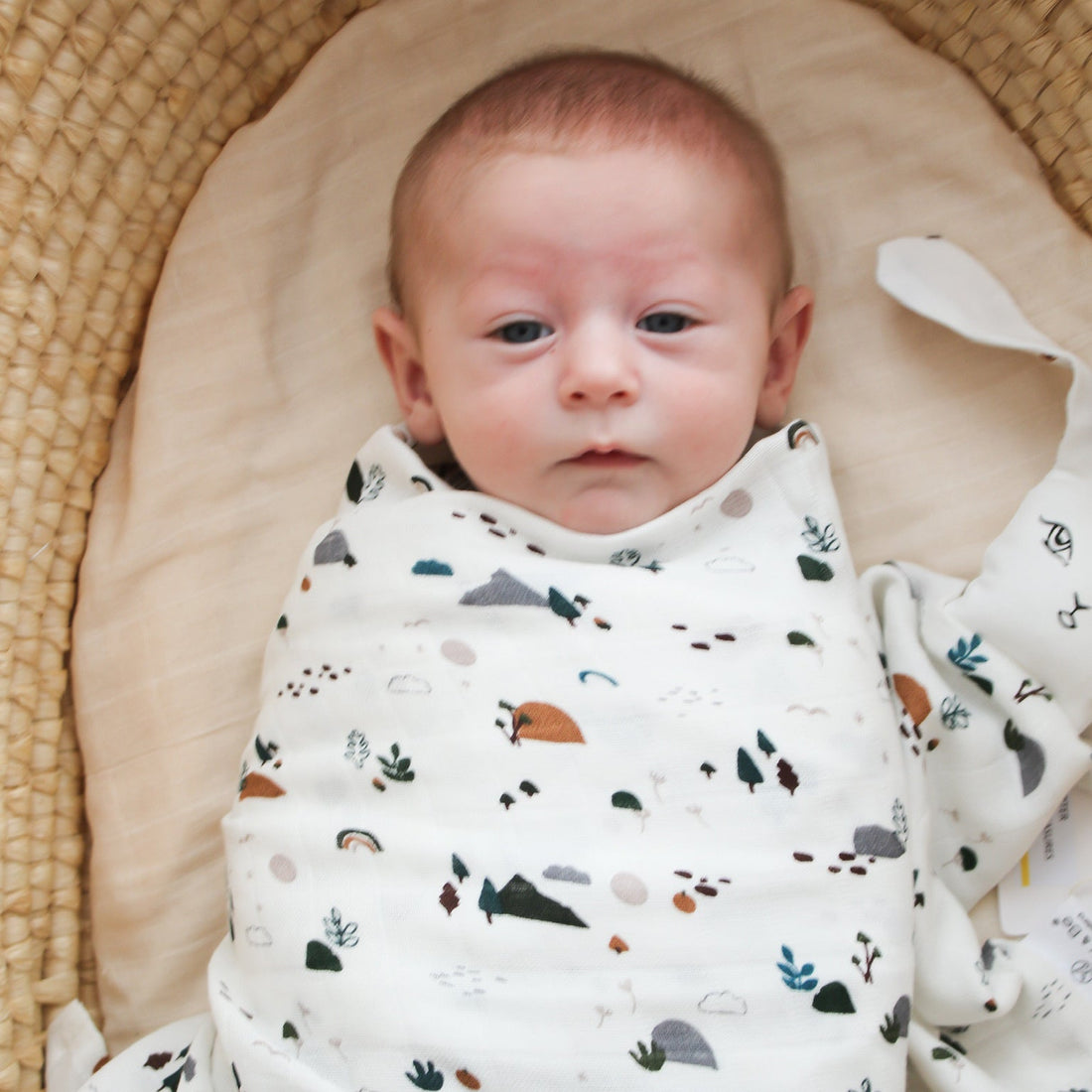 Garden Treasures organic cotton muslin wrap for a newborn, Burrow and Be Singapore