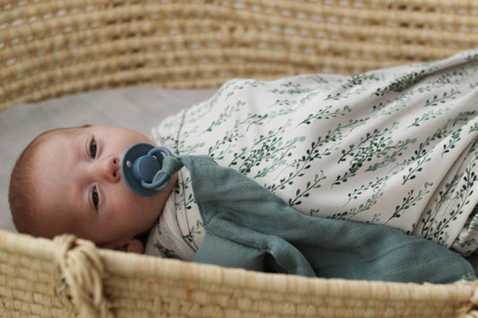 Baby in a Moses basket wrapped in organic cotton for a full month celebration, Burrow and Be Singapore