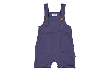 Purple children's overalls on a white background