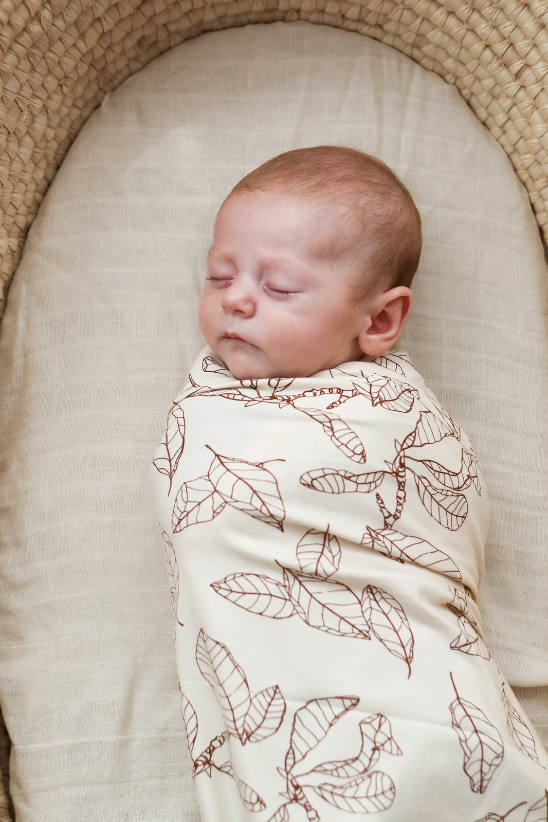 Baby laying in Moses Basket, wrapped in Leaves Stretchy Swaddle, designed by Burrow and Be