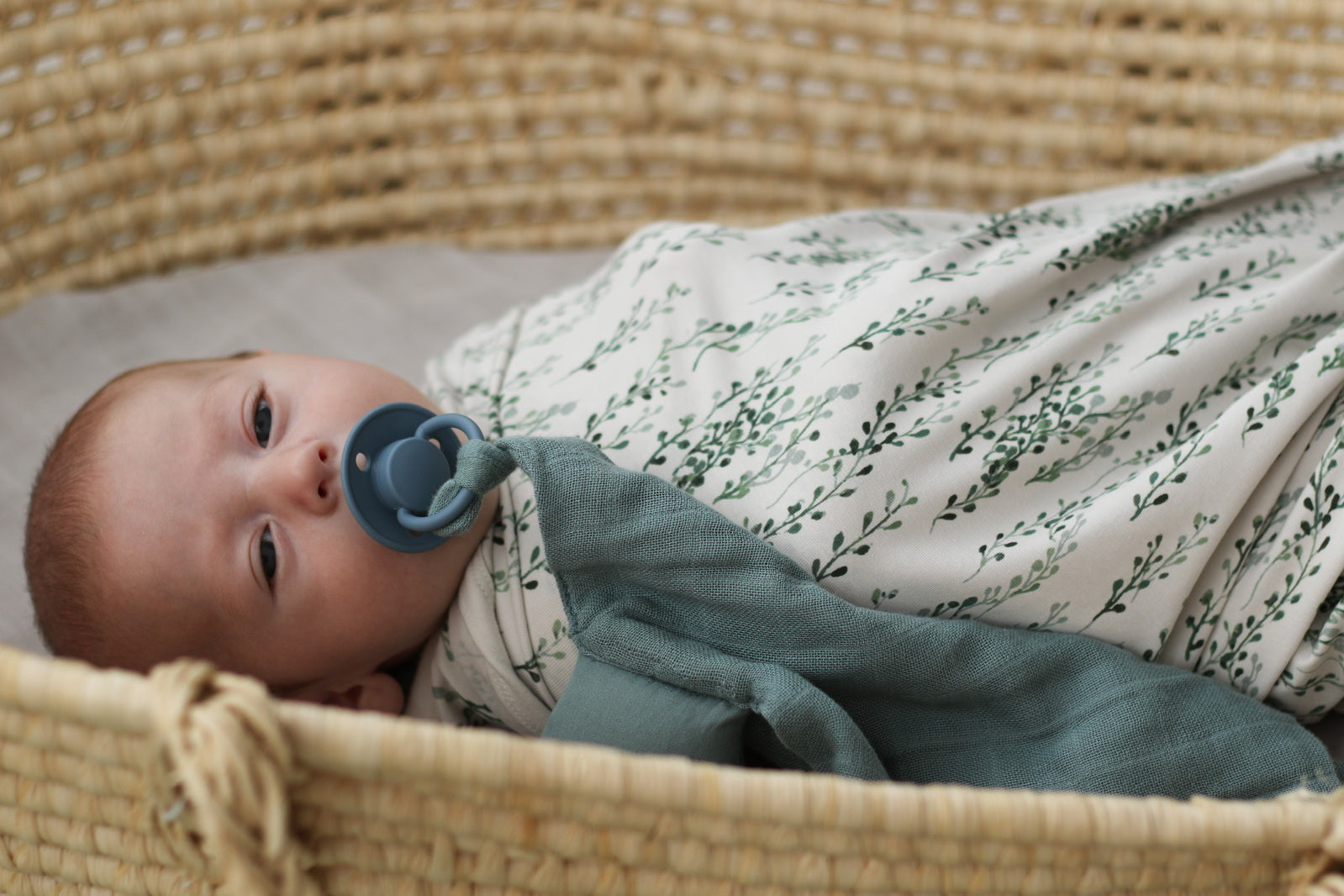 Baby laying in Moses Basket with Sage Muslin Sheets, while being wrapped in String of Pearls Muslin Wrap, both designed by Burrow and Be