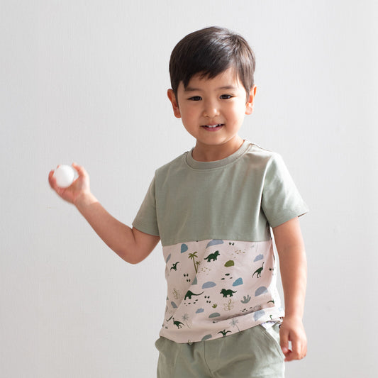 Jurassic Roam Block T-Shirt by Burrow and Be featuring earthy dinosaur print