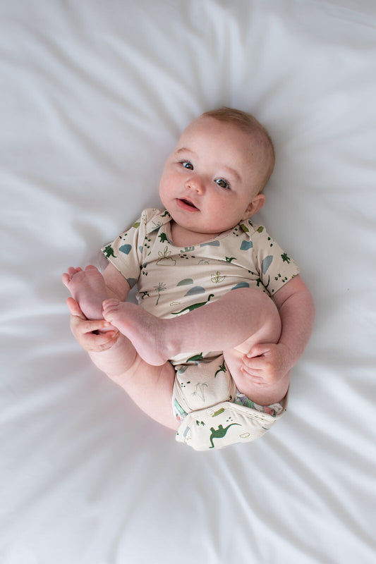 Jurassic Roam Short Sleeve Bodysuit by Burrow and Be - detail view