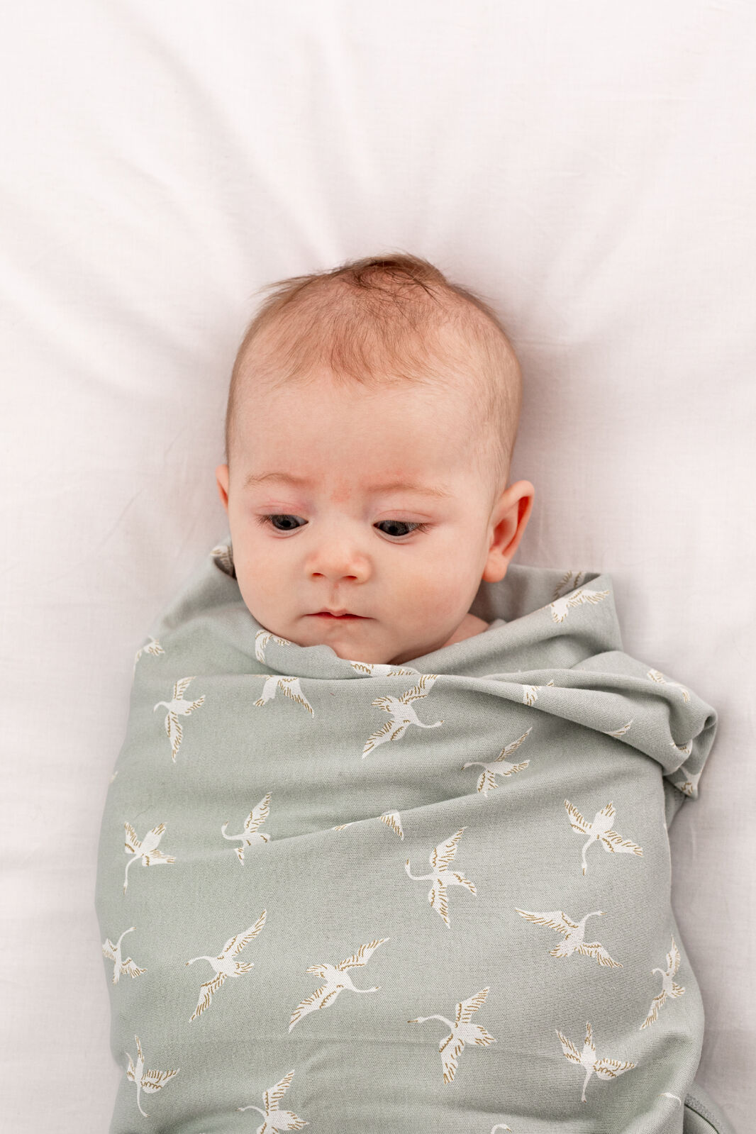 Baby wrapped in Swan Flight Swaddle Blanket by Burrow and Be - detail view