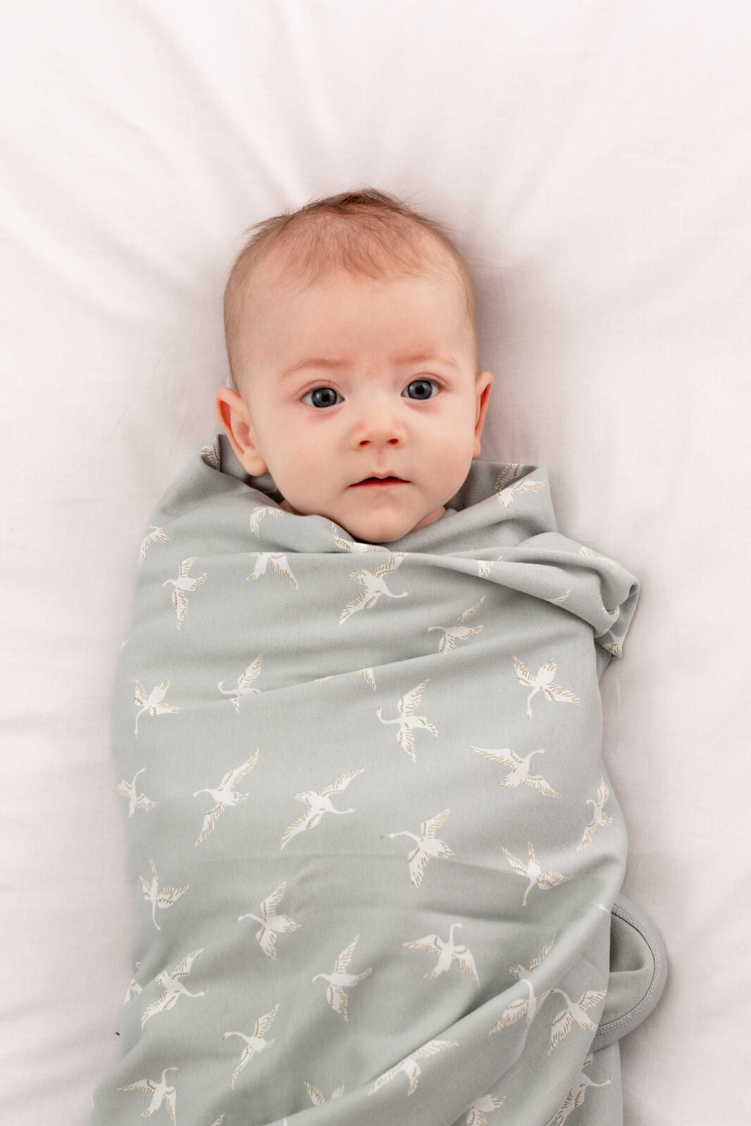 Baby wrapped in Swan Flight Swaddle Blanket by Burrow and Be