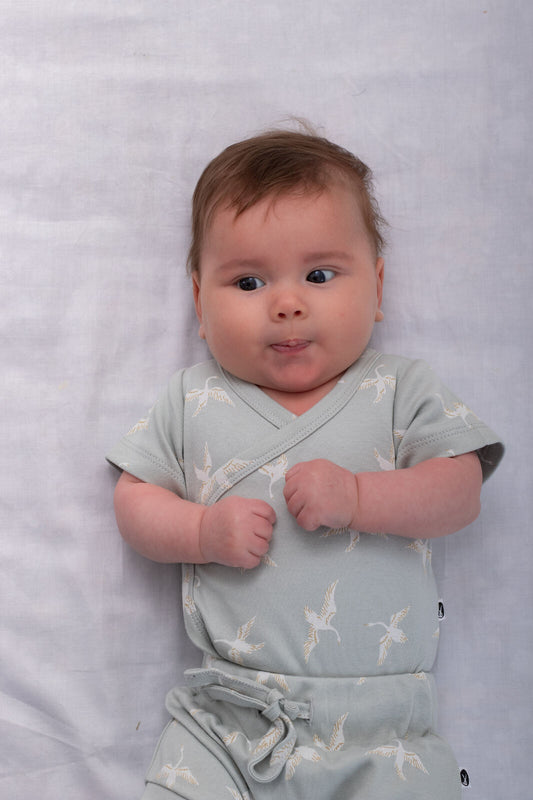 Baby wearing Swan Flight Short Sleeve Kimono Bodysuit by Burrow and Be